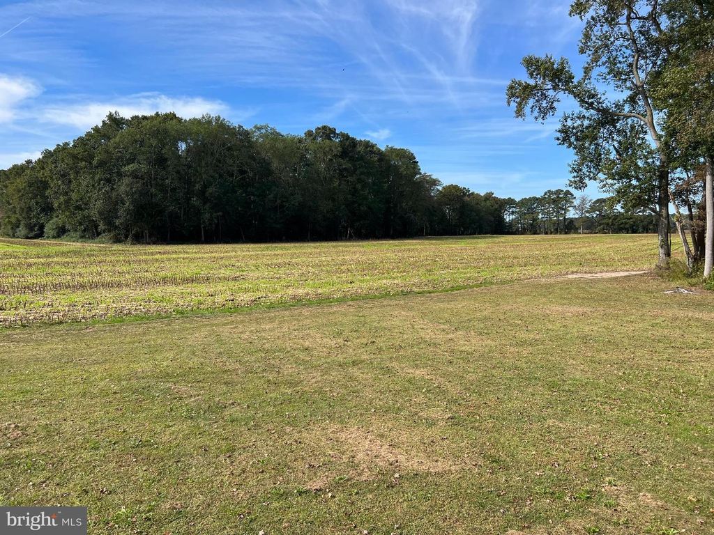 Image 41 of property listing at 26297 PITTS CREEK RD, New Church, VA 23415