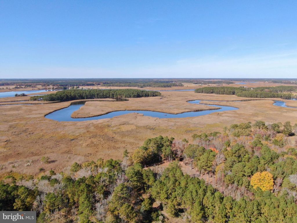 Image 7 of property listing at 26297 PITTS CREEK RD, New Church, VA 23415