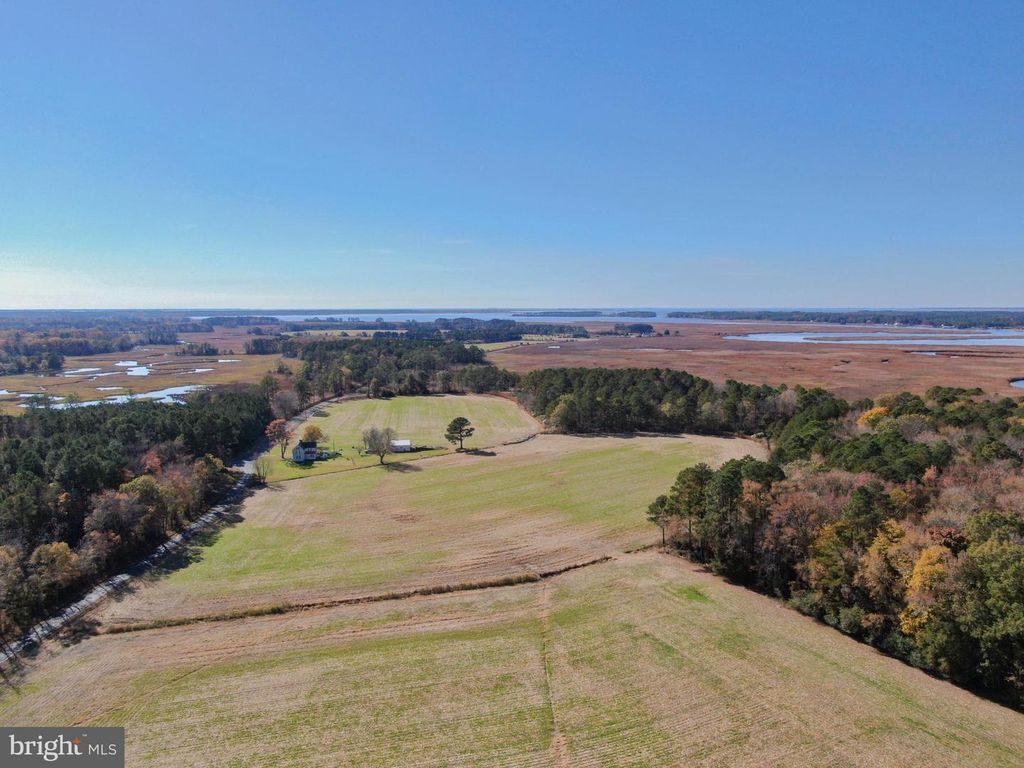 Image 10 of property listing at 26297 PITTS CREEK RD, New Church, VA 23415