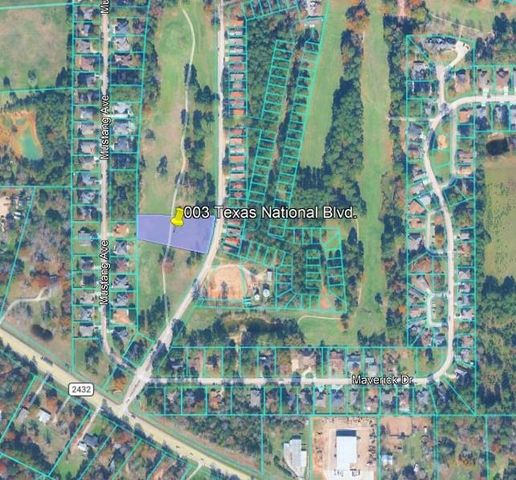 003 Texas National, Willis, TX 77303