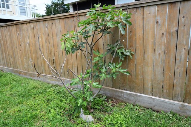 4009 Nenana Drive, Houston, TX 77025