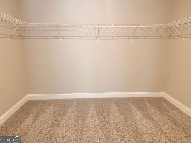 46 Will Banks Road, Senoia, GA 30276