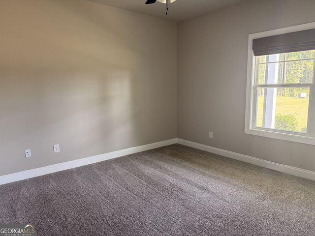 46 Will Banks Road, Senoia, GA 30276