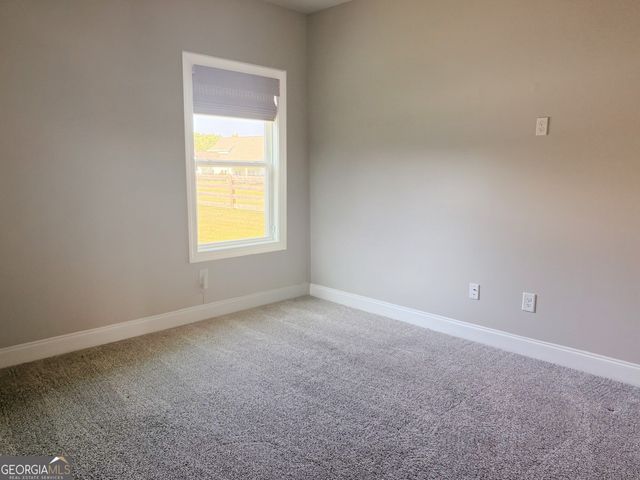 46 Will Banks Road, Senoia, GA 30276