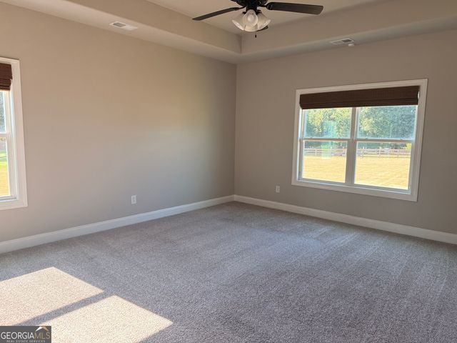 46 Will Banks Road, Senoia, GA 30276