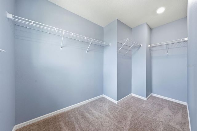 14312 CRESTAVISTA AVENUE, Clermont, FL 34714