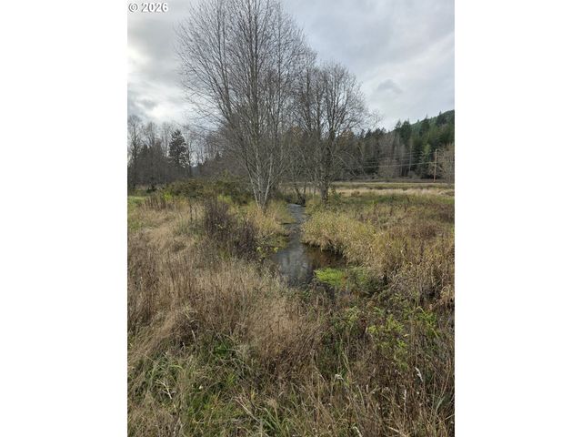 8442 US HIGHWAY 12, Glenoma, WA 98336