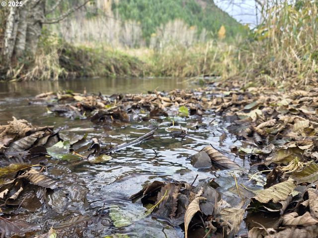 8442 US HIGHWAY 12, Glenoma, WA 98336