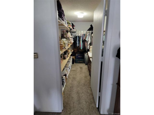 759 Palisade Mountain Dr, Drake, CO 80515