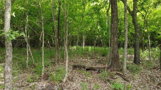 0000 County Road 4806, Commerce, TX 75428