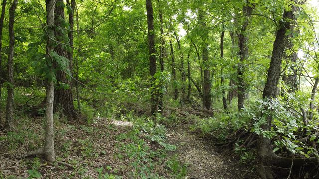 0000 County Road 4806, Commerce, TX 75428