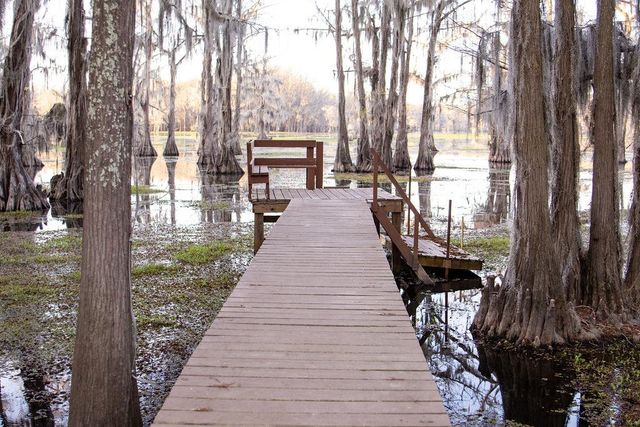 535 Jackson Arm Rd., Karnack, TX 75661