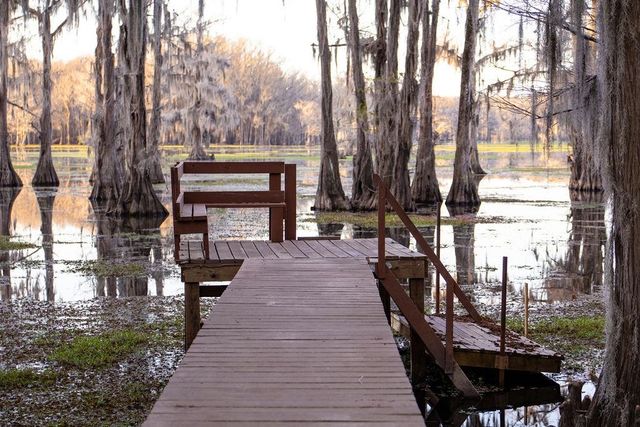 535 Jackson Arm Rd., Karnack, TX 75661