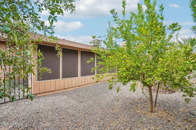 12103 S TOMI Drive, Phoenix, AZ 85044