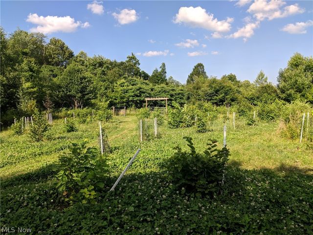 2010 Powder Mill Run, Youngstown, OH 44505