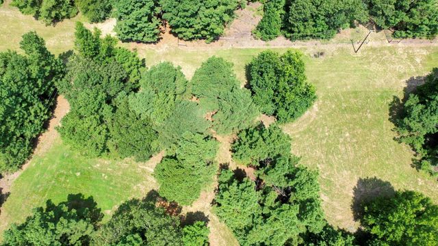 8374 Cattle Trail Road, Midway, TX 75852