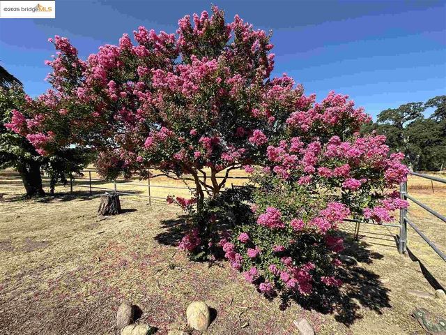 15653 Hwy 108, Jamestown, CA 95327