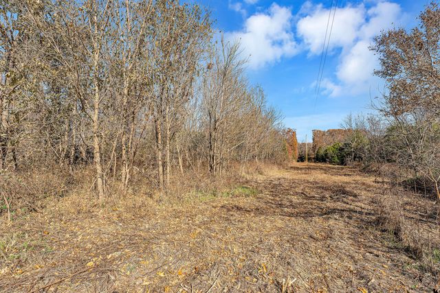 7800 St George Road, Hartville, MO 65667