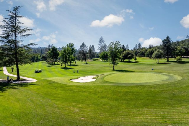 18704 Lake Forest Dr, Penn Valley, CA 95946