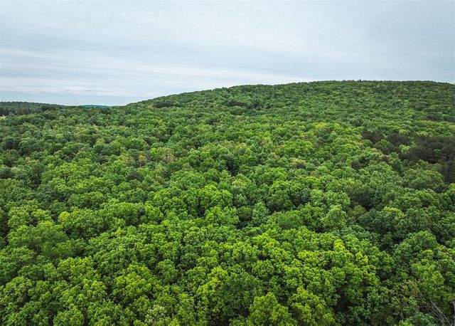 00 County Road 131, Arcadia, MO 63621