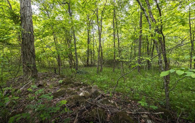 00 County Road 131, Arcadia, MO 63621