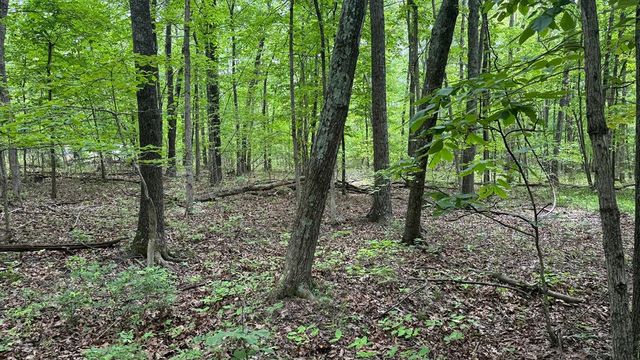 00 County Road 131, Arcadia, MO 63621