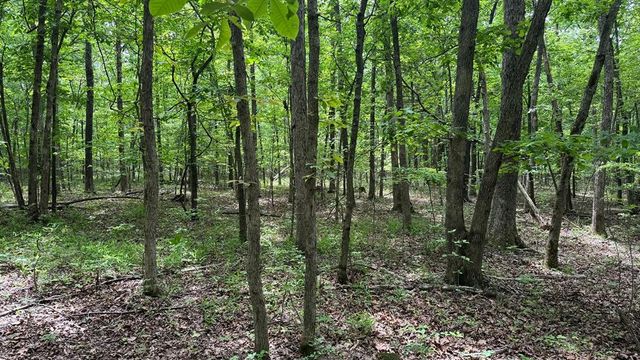 00 County Road 131, Arcadia, MO 63621
