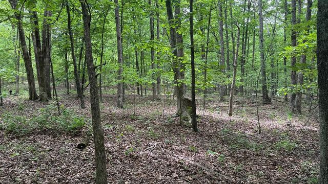 00 County Road 131, Arcadia, MO 63621