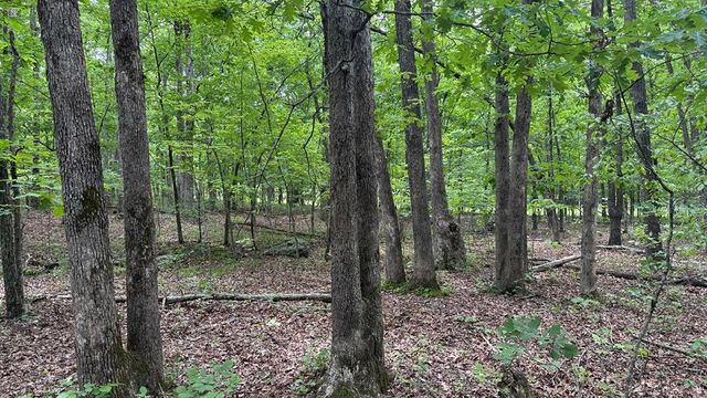 00 County Road 131, Arcadia, MO 63621