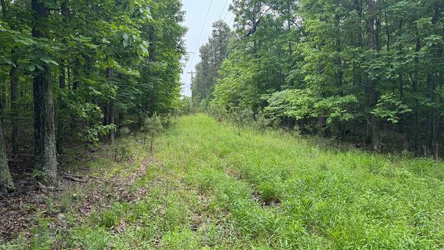 00 County Road 131, Arcadia, MO 63621