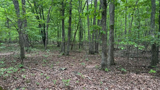 00 County Road 131, Arcadia, MO 63621