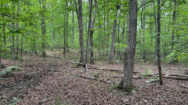 00 County Road 131, Arcadia, MO 63621