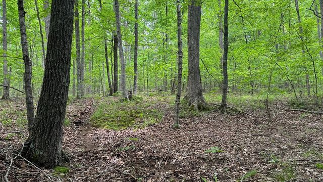 00 County Road 131, Arcadia, MO 63621