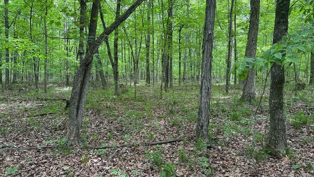 00 County Road 131, Arcadia, MO 63621