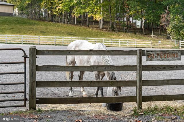 407 MT PLEASANT DR, Locust Grove, VA 22508
