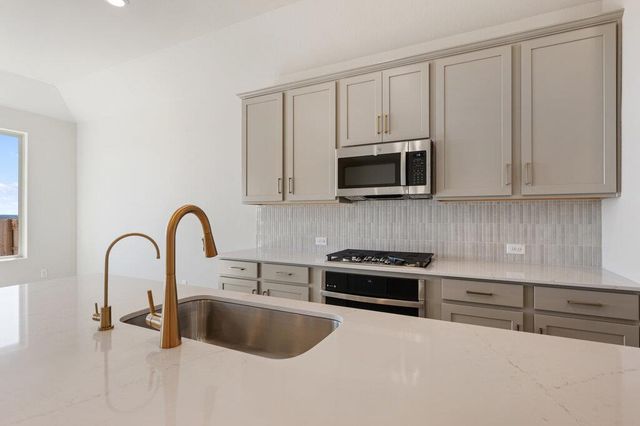 1409 Dog Iron ST, Georgetown, TX 78633