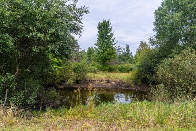 928 E Riley-Thompson Road, Dalton Twp, MI 49445