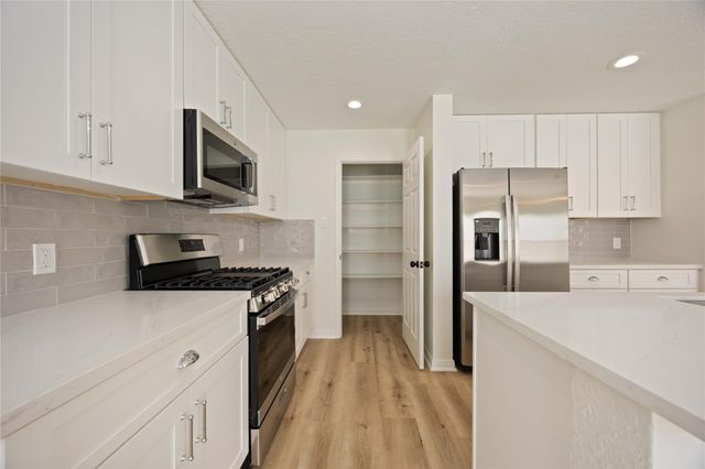 2722 Skyview Downs Drive, Houston, TX 77047