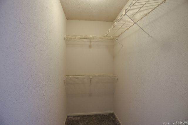 12267 Lemon Blossom, San Antonio, TX 78247