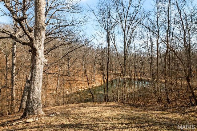 1 River Bend Drive, Fenton, MO 63026