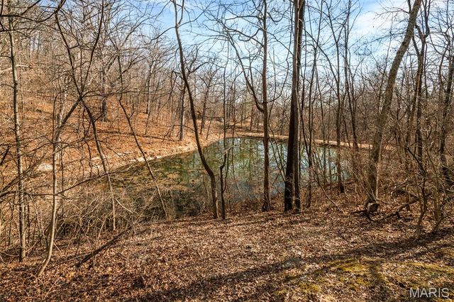 1 River Bend Drive, Fenton, MO 63026