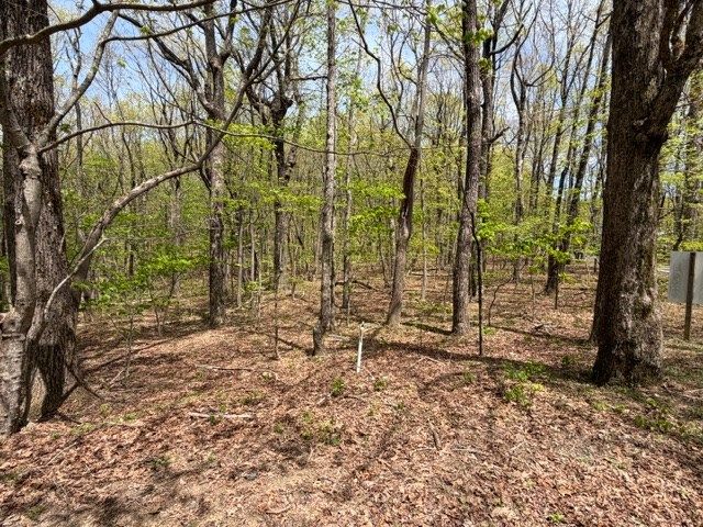 Lot 26 Falcons Nest, Jasper, GA 30413