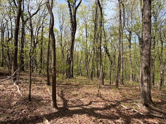 Lot 26 Falcons Nest, Jasper, GA 30413