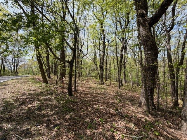 Lot 26 Falcons Nest, Jasper, GA 30413