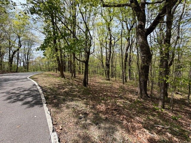 Lot 26 Falcons Nest, Jasper, GA 30413