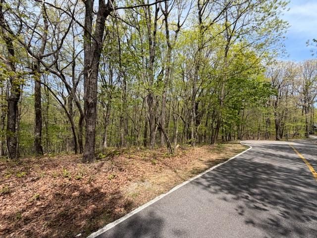 Lot 26 Falcons Nest, Jasper, GA 30413