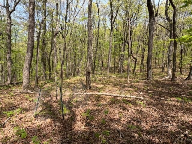 Lot 26 Falcons Nest, Jasper, GA 30413