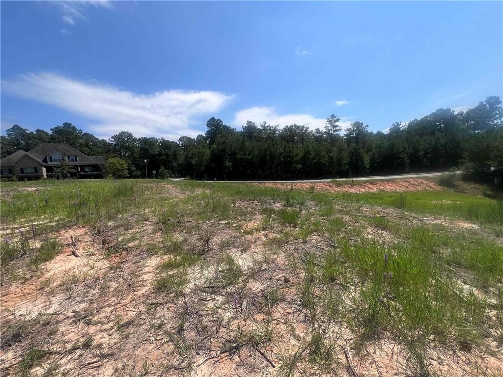 0 Farrington Lane, Spanish Fort, AL 36527 — photo 4