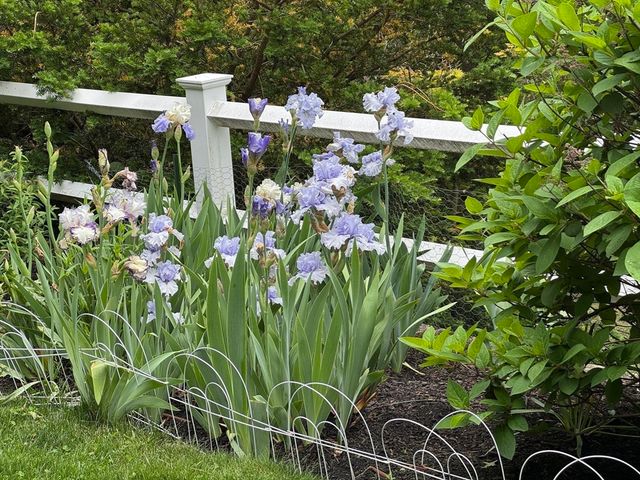 163 Woodside Lane, Arlington, MA 02474