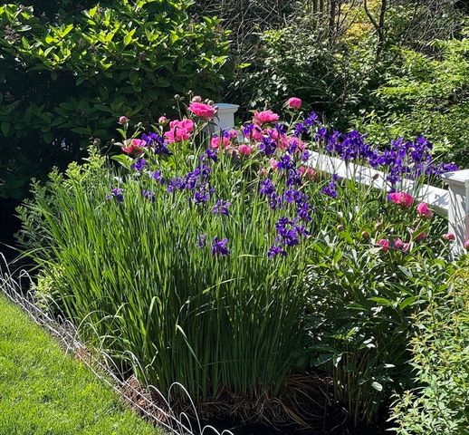 163 Woodside Lane, Arlington, MA 02474